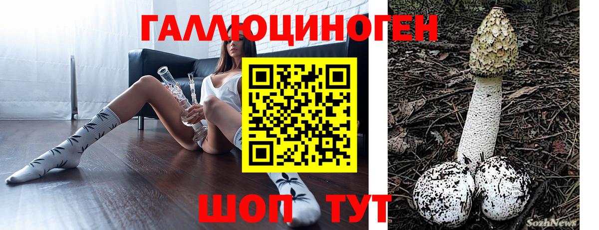 Псилоцибиновые грибы MAGIC MUSHROOMS  купить наркотики цена  Ступино  Вход с VPN  Псилоцибиновые грибы Psilocybine cubensis 
